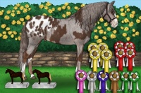 Horse Color:Liver Chestnut Sabino Splash Appaloosa  and Liver Chestnut Sabino Splash Appaloosa 