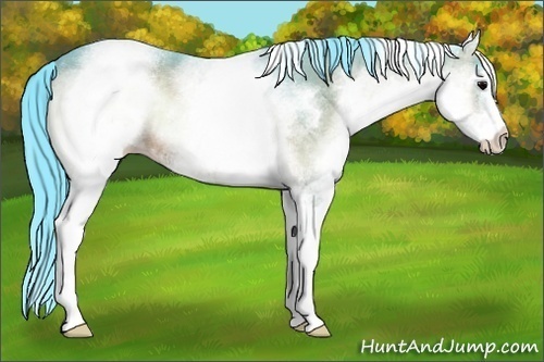 Horse Color:Watercolor White Spotted Brown Onyx 