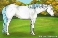Horse Color:Watercolor White Spotted Brown Onyx