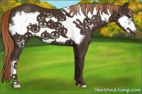 Horse Color:Liver Chestnut Frame 