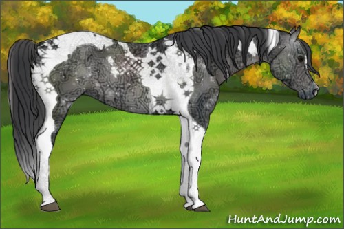 Horse Color:Black Ice Tobiano