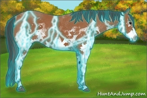 Horse Color:Thunderstruck White Spotted Bay 
