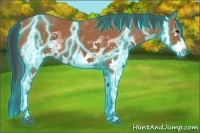 Horse Color:Thunderstruck White Spotted Bay 