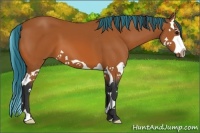 Horse Color:Painted Bay Splash 