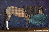 Horse Color:Plaid  Bay 