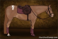 Horse Color:Chestnut Sabino Varnish Rabicano