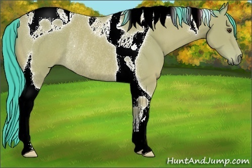 Horse Color:Watercolor Buckskin Tobiano Rabicano 