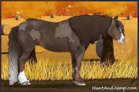 Horse Color:Liver Chestnut Sabino Splash Appaloosa  and Liver Chestnut Sabino Splash 