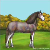 Horse Color:Nacre Liver Chestnut Sabino 
