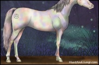 Horse Color:Nacre Silver Sable Champagne Onyx 