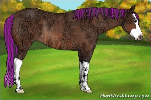 Horse Color:Painted Bay Ice Splash Rabicano 