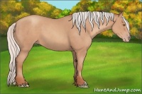 Horse Color:Silver Classic Champagne