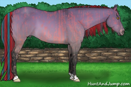 Horse Color:Platinum Painted Amber Champagne  and Platinum Painted Bay Dun 