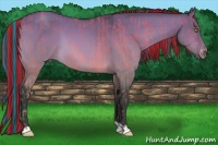 Horse Color:Platinum Painted Amber Champagne  and Platinum Painted Bay Dun 
