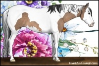 Horse Color:Brown Dun Splash Tobiano