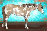 Horse Color:White Spotted Black Pearl Sabino