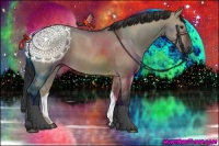 Horse Color:Brown Dun 