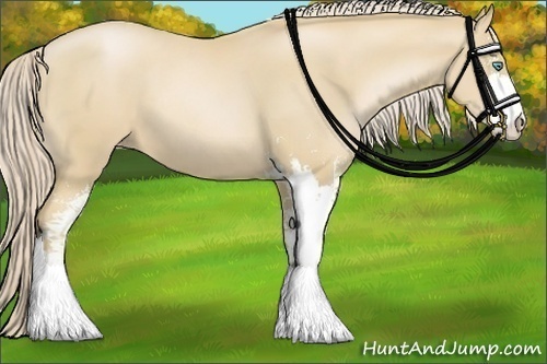 Horse Color:Palomino Pearl Sabino 