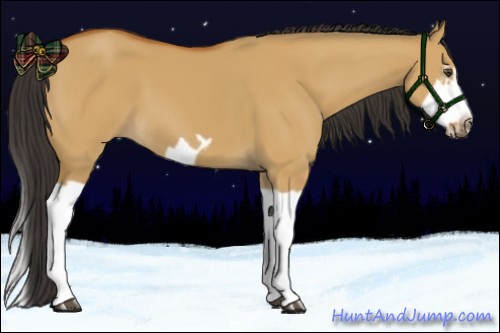 Horse Color:Bay Dun Splash Frame 