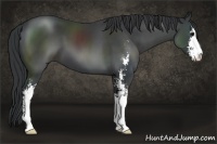 Horse Color:Black Sabino