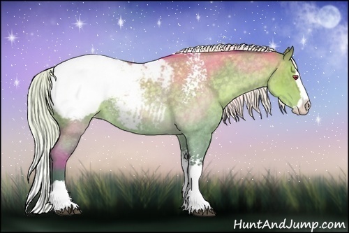 Horse Color:White Spotted Silver Grullo Chinchilla Roan Splash Appaloosa 