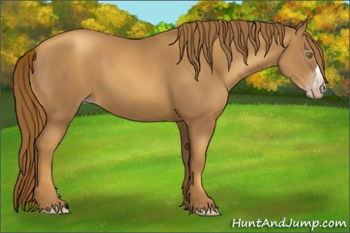 Horse Color:Gray Gold Champagne 