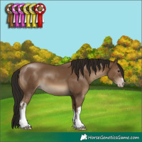 Horse Color:Gray White Spotted Classic Champagne 