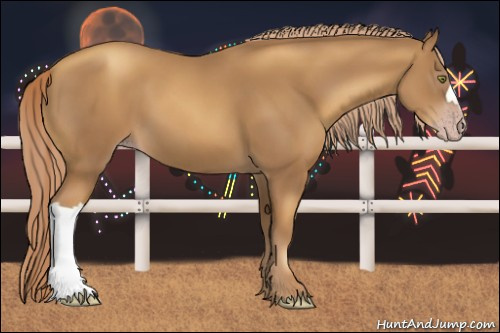 Horse Color:Gray Gold Champagne 