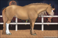 Horse Color:Gray Gold Champagne 