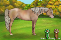 Horse Color:Gray Gold Champagne Mushroom 