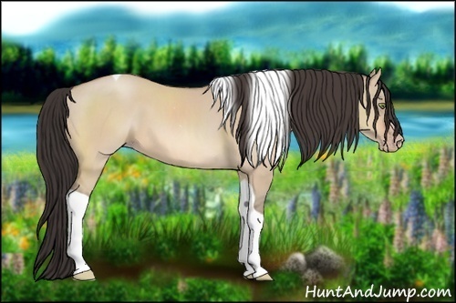 Horse Color:Amber Champagne Dun Tobiano