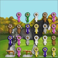 Horse Color:Black Sabino 