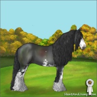 Horse Color:Black Sabino