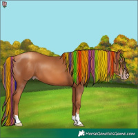 Horse Color:Gray Painted Gold Champagne 