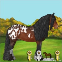 Horse Color:Brown Appaloosa