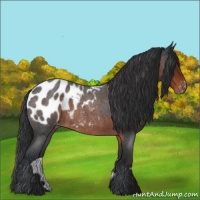 Horse Color:Brown Roan Blanket 