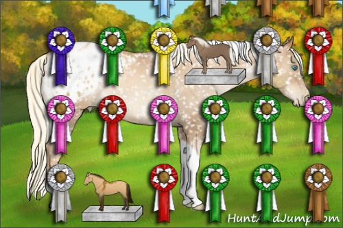 Horse Color:Gray Gold Champagne Roan Pearl Mushroom Tobiano Blanket