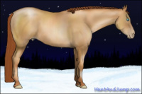 Horse Color:Gray Amber Champagne Pearl 