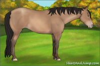 Horse Color:Gray Amber Champagne 