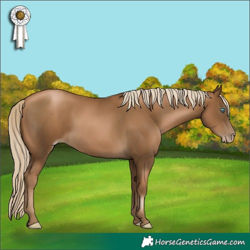 Horse Color:Gray Chocolate Palomino Pearl Mushroom