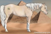 Horse Color:Gold Champagne Mushroom 