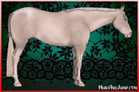 Horse Color:Gray Cremello 