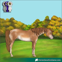 Horse Color:Gray Gold Champagne 