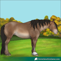 Horse Color:Gray Amber Champagne Mushroom Rabicano 