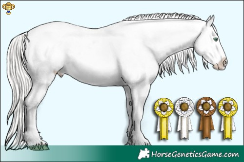 Horse Color:Chocolate Silver Classic Champagne Pearl Splash Appaloosa 