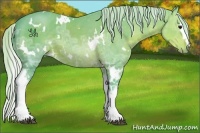 Horse Color:Watercolor White Spotted Silver Brown Ice