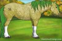 Horse Color:Watercolor Bay Ice 