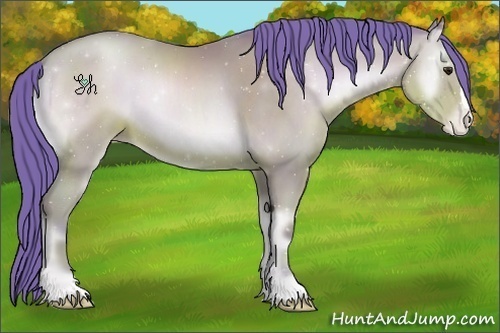 Horse Color:Watercolor Bay Pearl Onyx