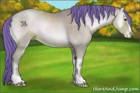 Horse Color:Watercolor Bay Pearl Onyx