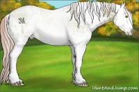 Horse Color:Watercolor White Spotted Bay Pearl 